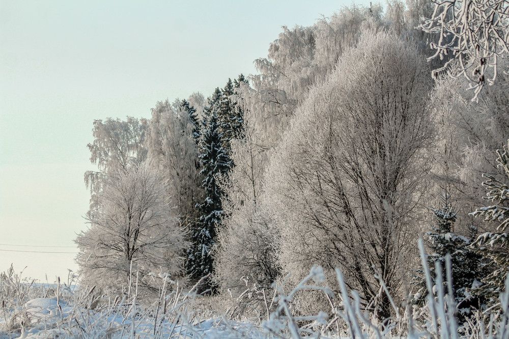 Photograph by Elizaveta