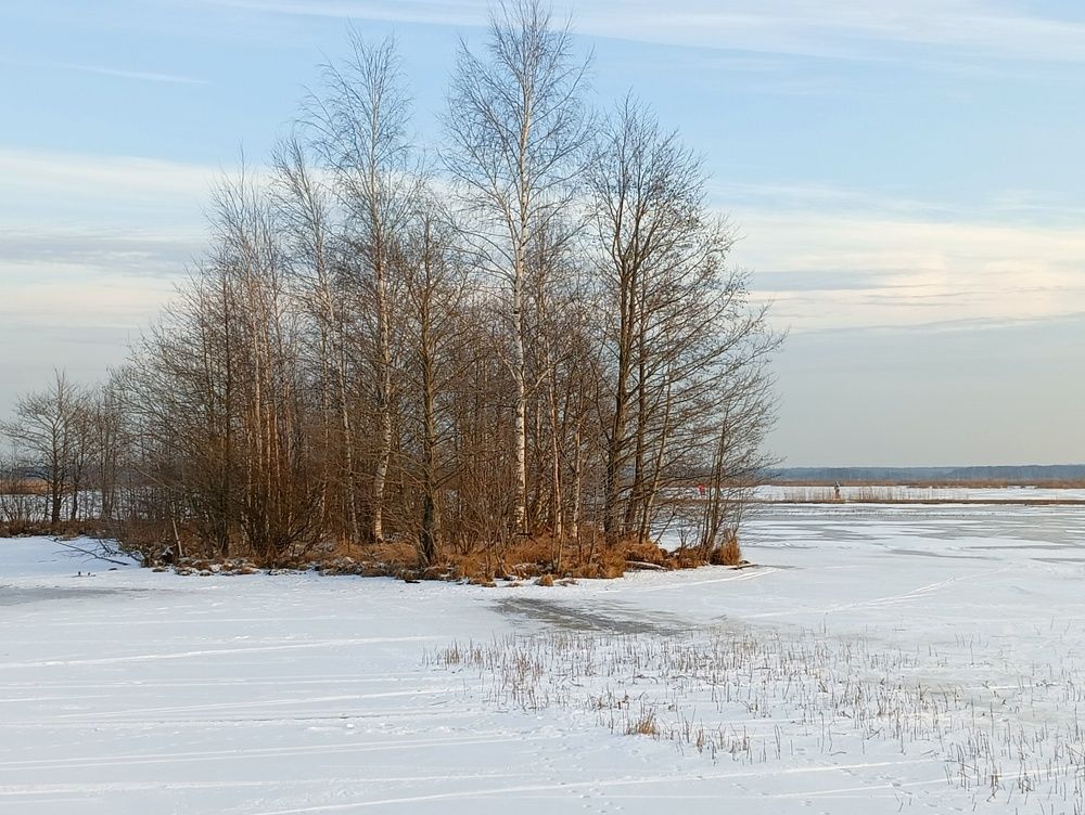 Photograph by Olga Smirnova