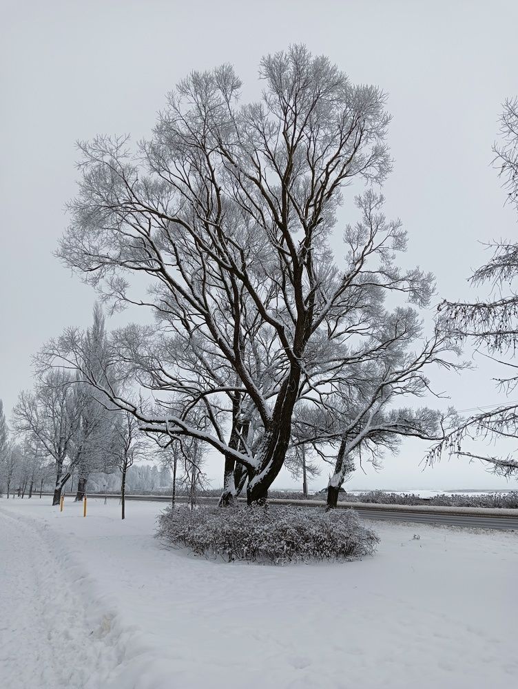 Photograph by Olga Smirnova