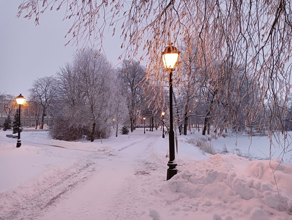 Photograph by Olga Smirnova