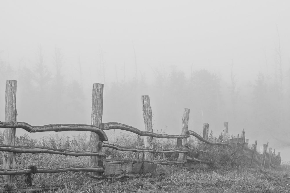 Photograph by Маргарита