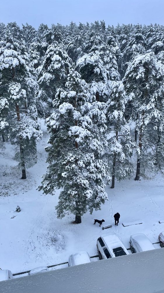 Photograph by Елена Секрет