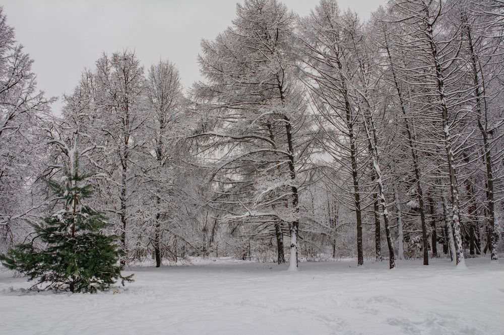 Photograph by Dmitriy Vargaz