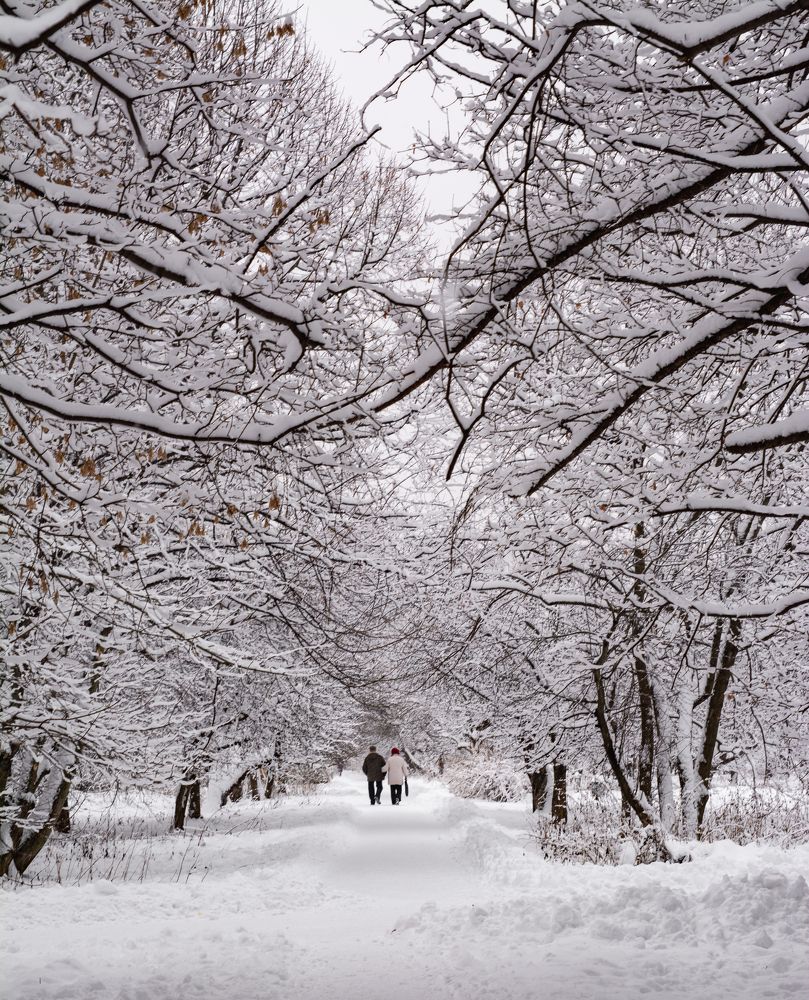 Photograph by Dmitriy Vargaz