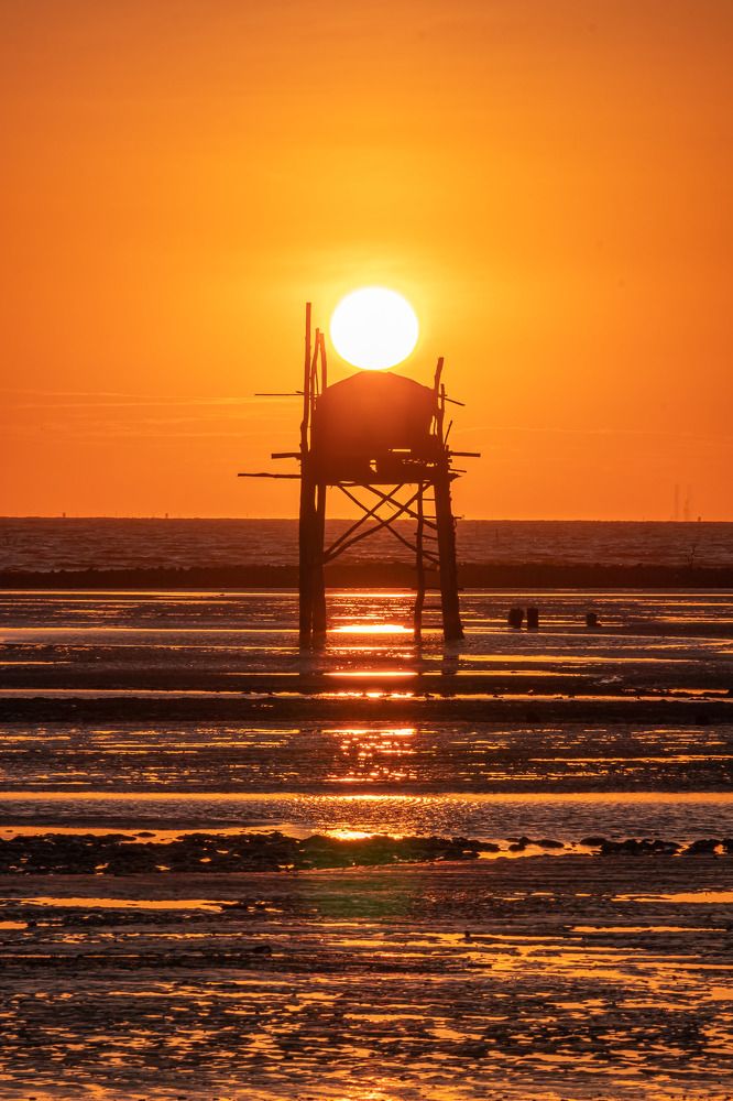 Фотография автора Andy Nguyen