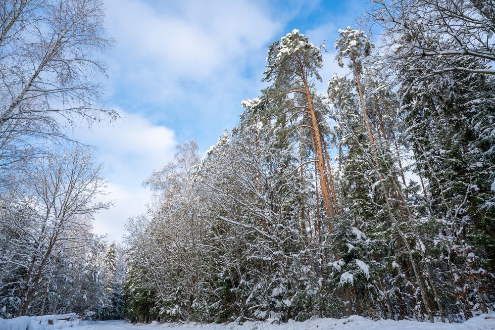 Photograph by Андрей Валерьевич