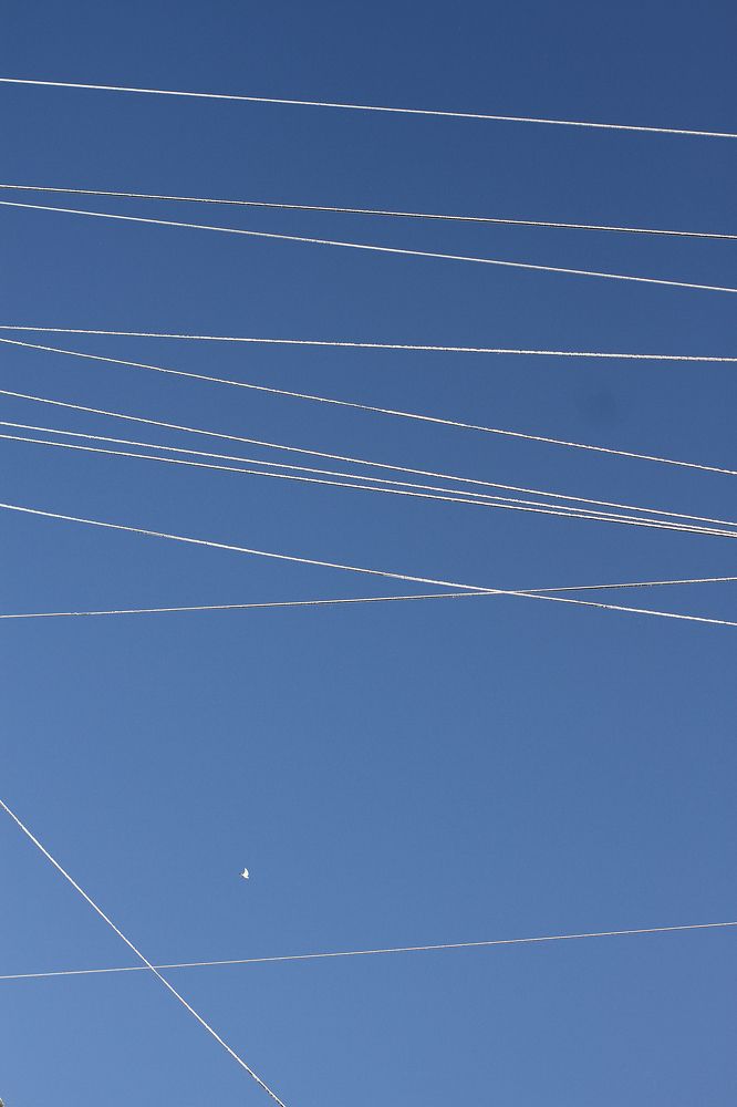 Photograph by Полина Ефимова