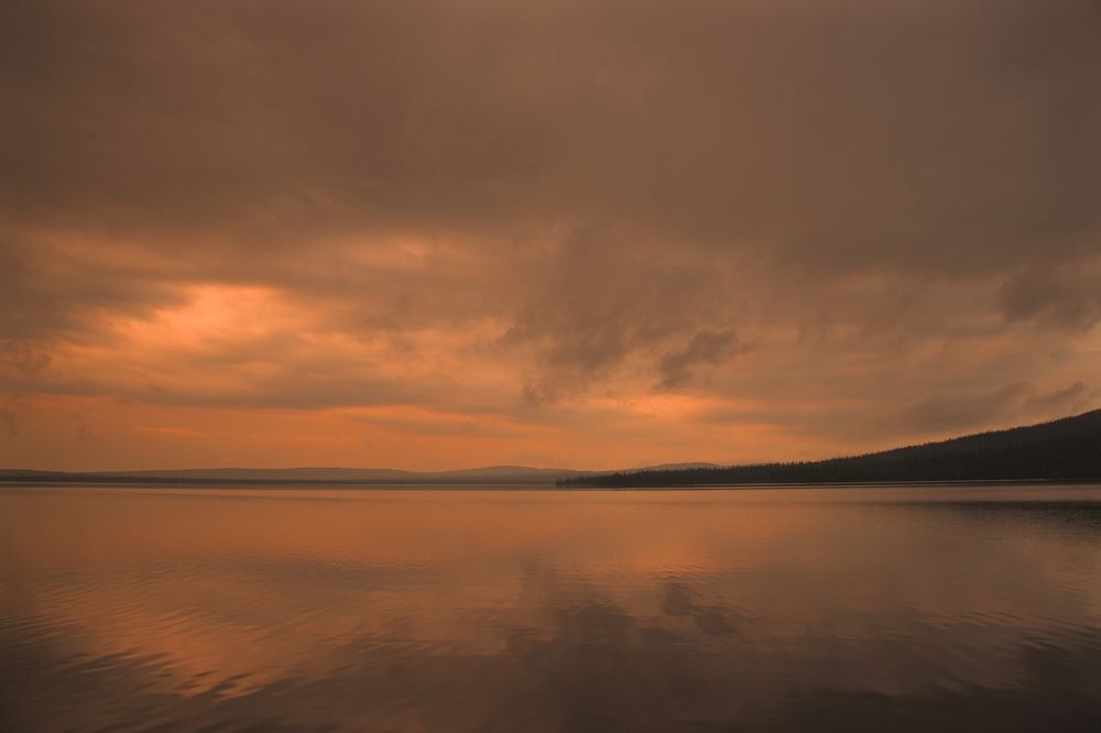 Фотография автора Elena Istomina