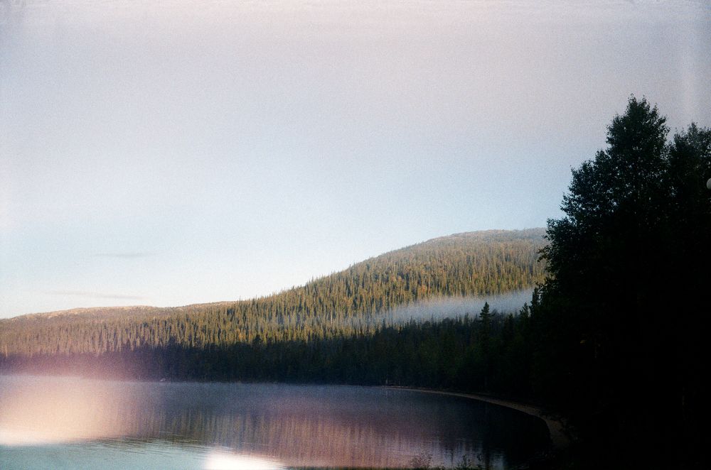 Фотография автора Elena Istomina