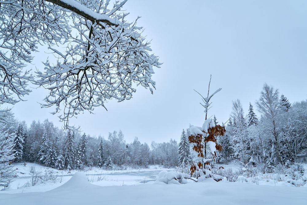 Photograph by Андрей Валерьевич