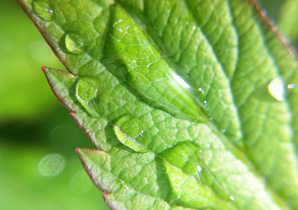 Фотография автора Алина Васильченко