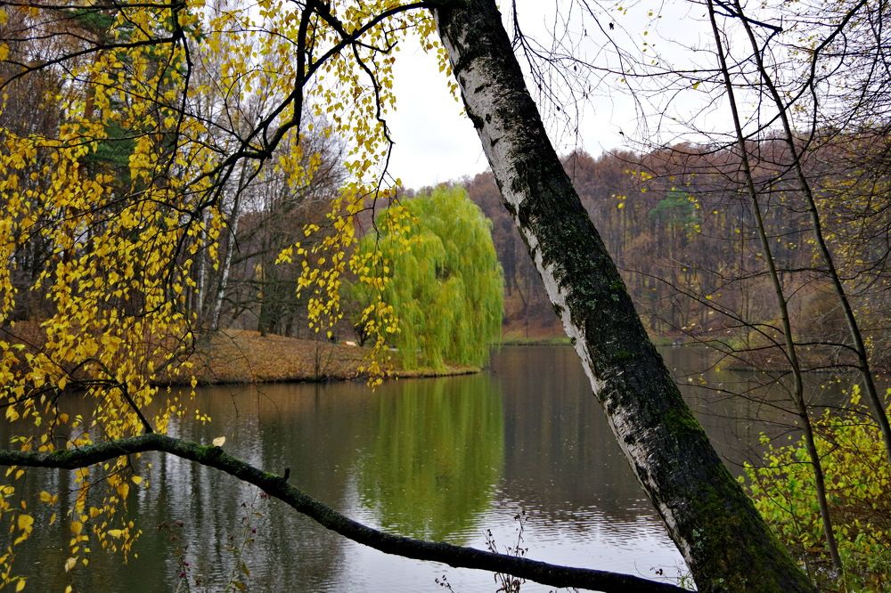 Photograph by АЛЕКСЕЙ