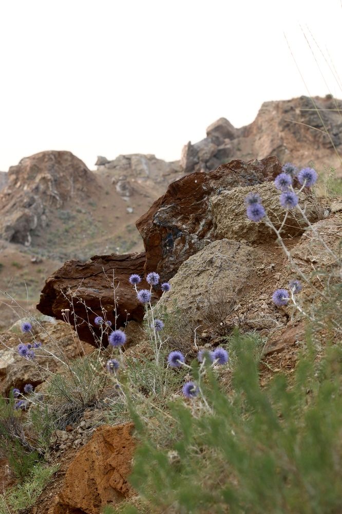 Photograph by Елена Секрет