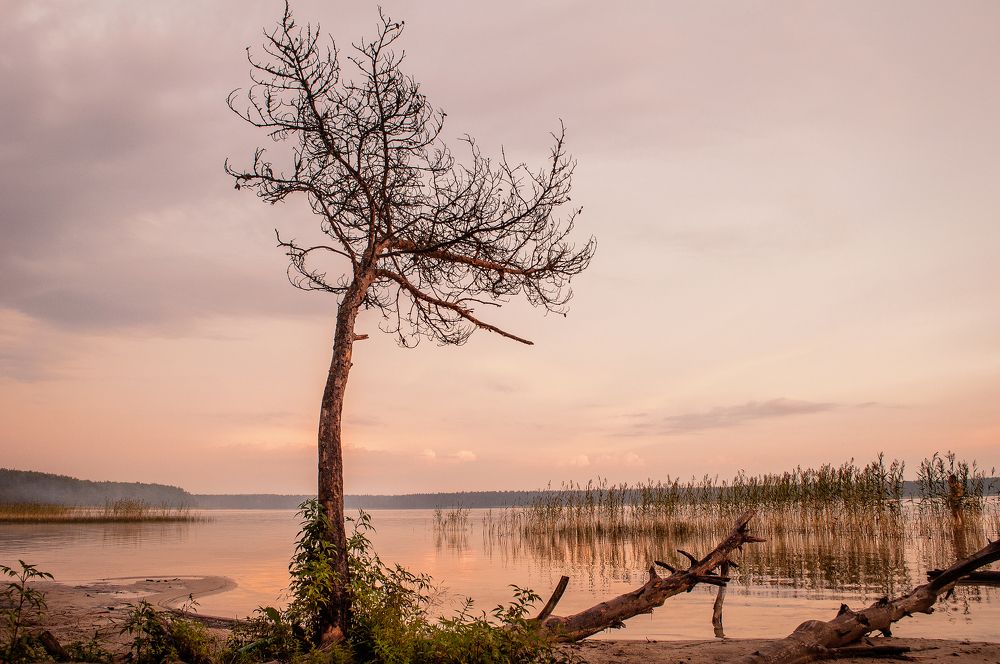 Photograph by Дарья Кончакова