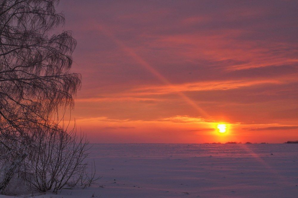 Photograph by ALEKSEI BABANIN