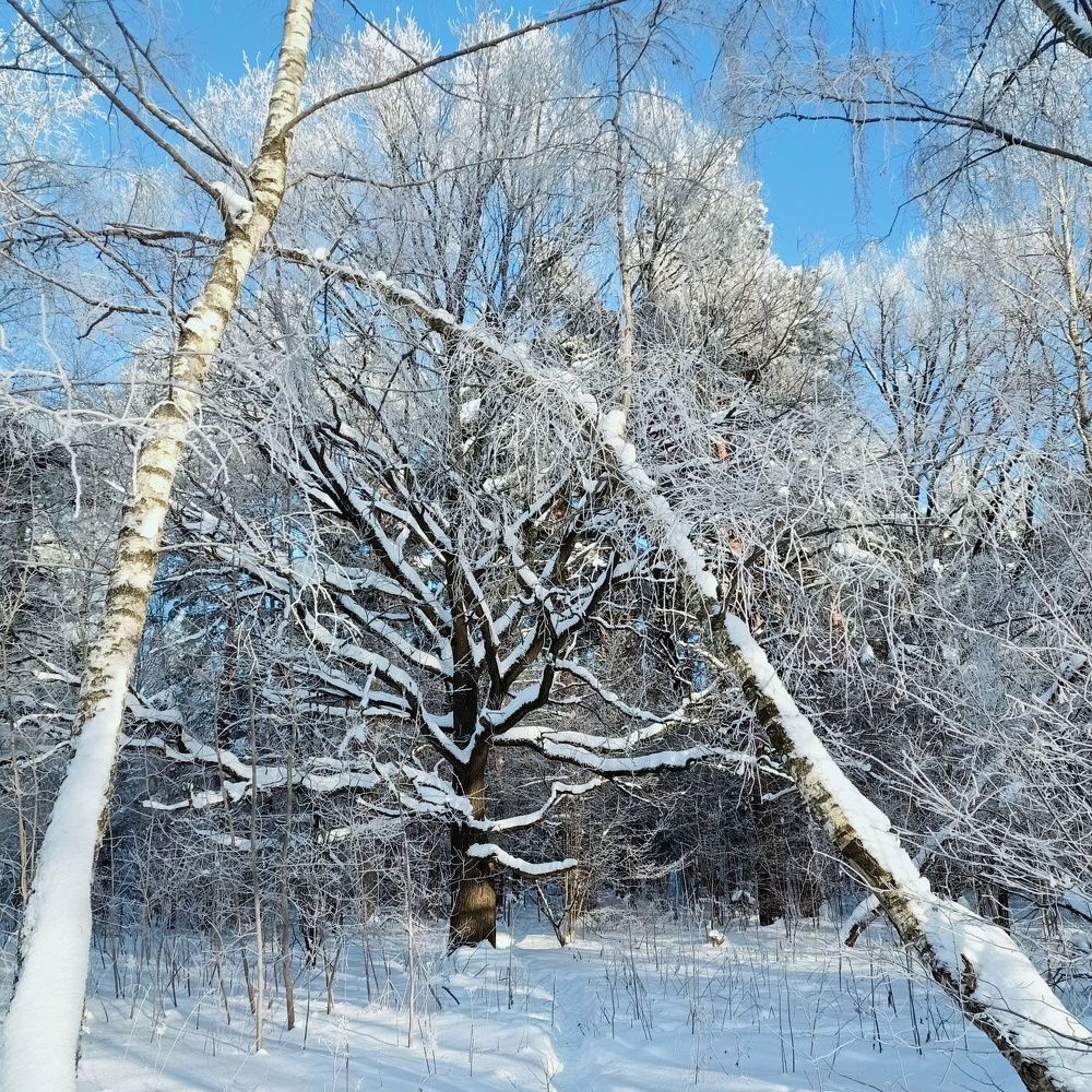 Photo #8495534
