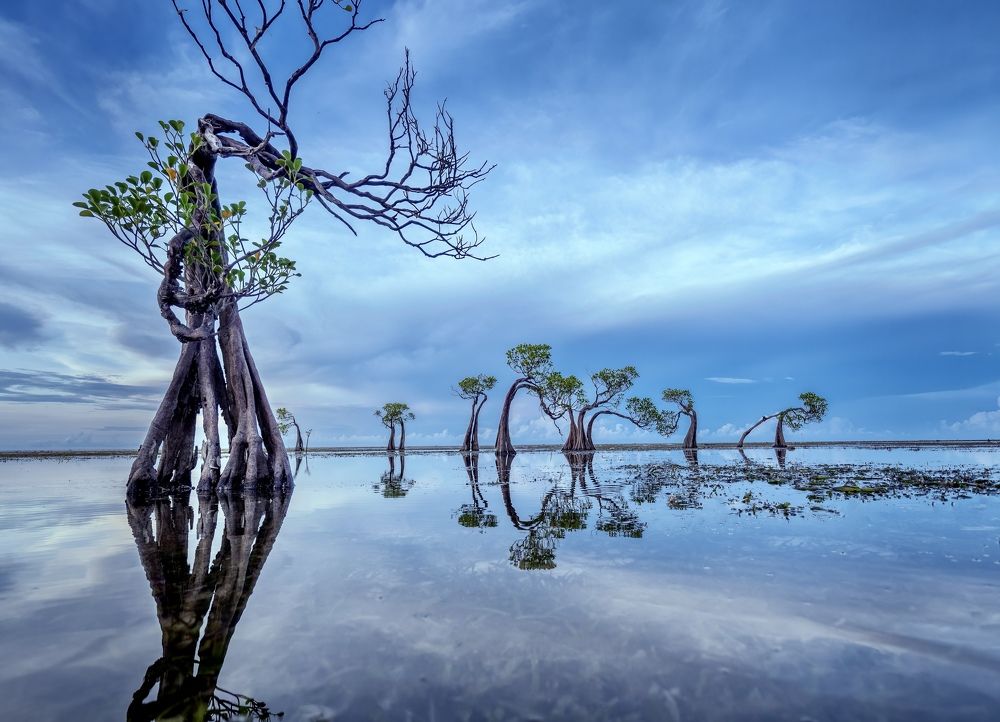 Фотография автора Ross McGree