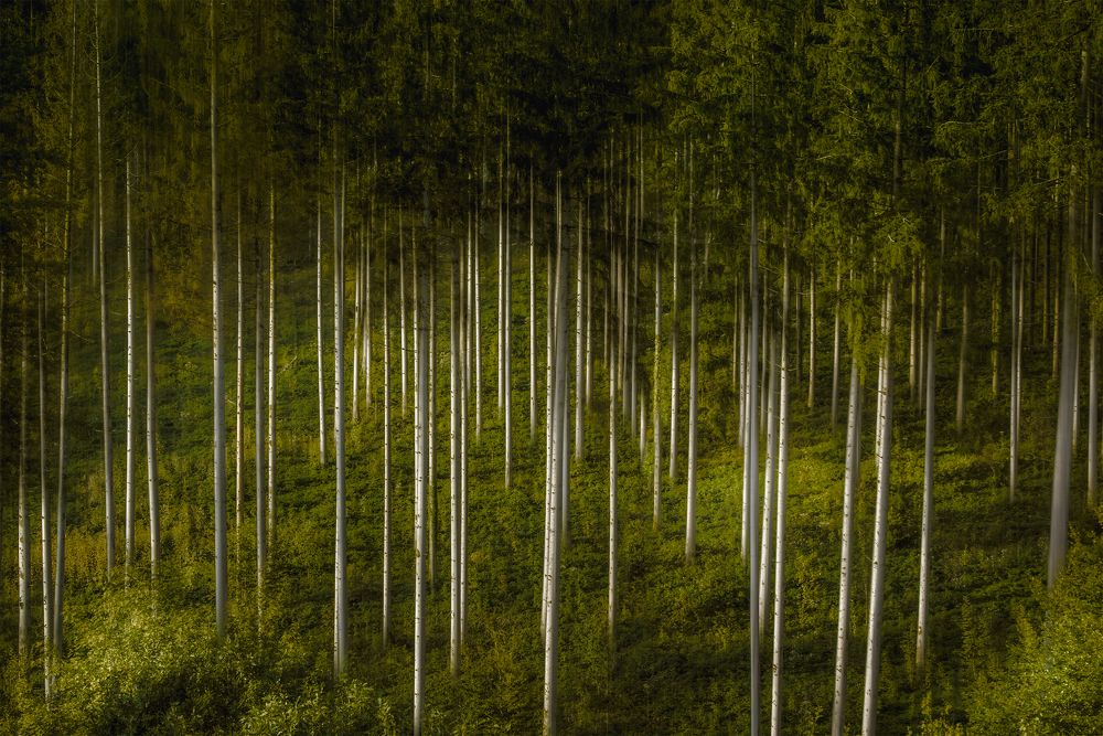 Photograph by Benny De Winter