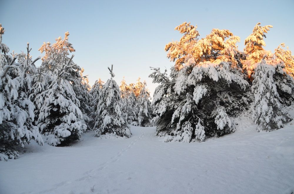 Photograph by Galina Baranovskaja