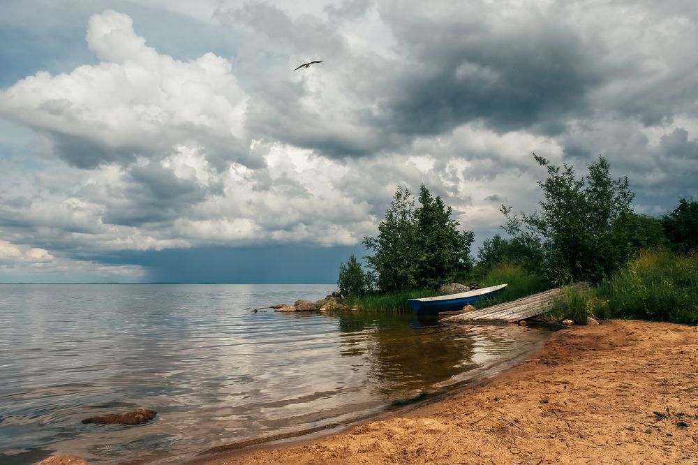 Photograph by Алексей Баженов