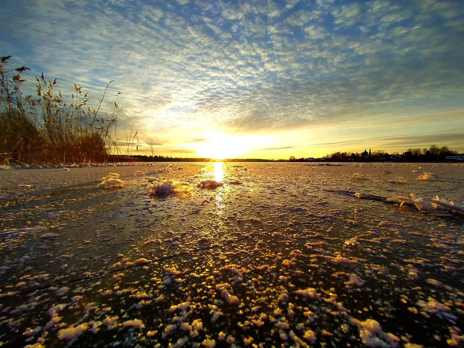 Photo #8495646