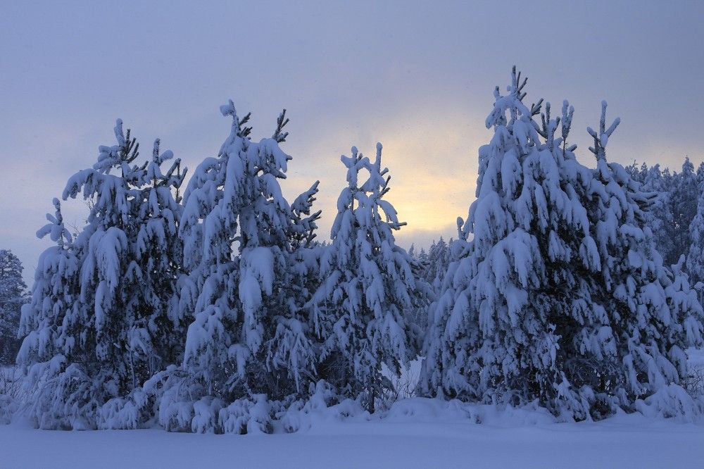 Photograph by Anna Grin