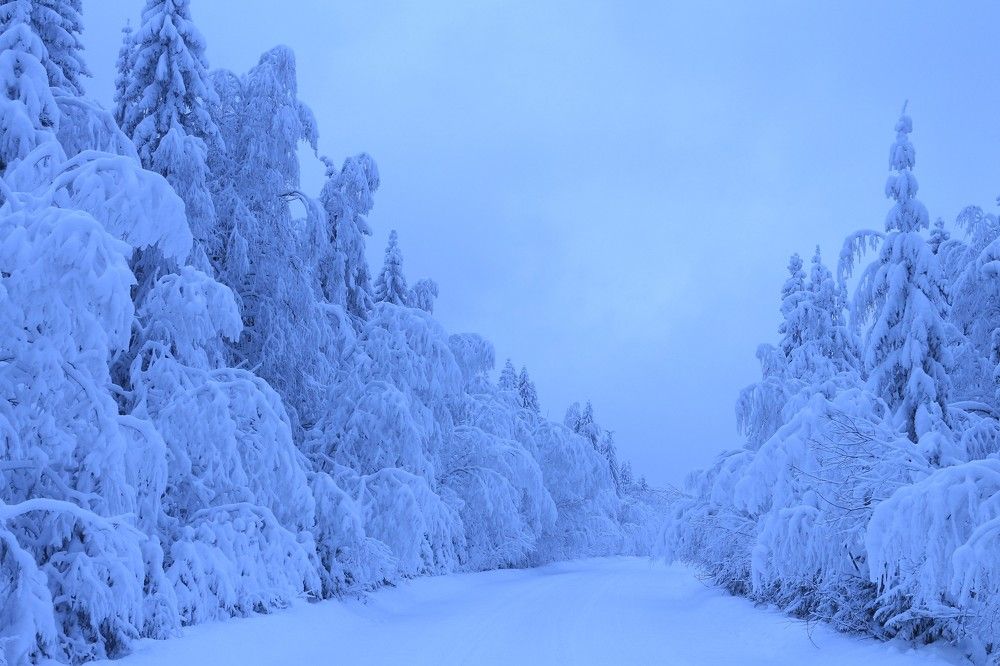 Photograph by Anna Grin