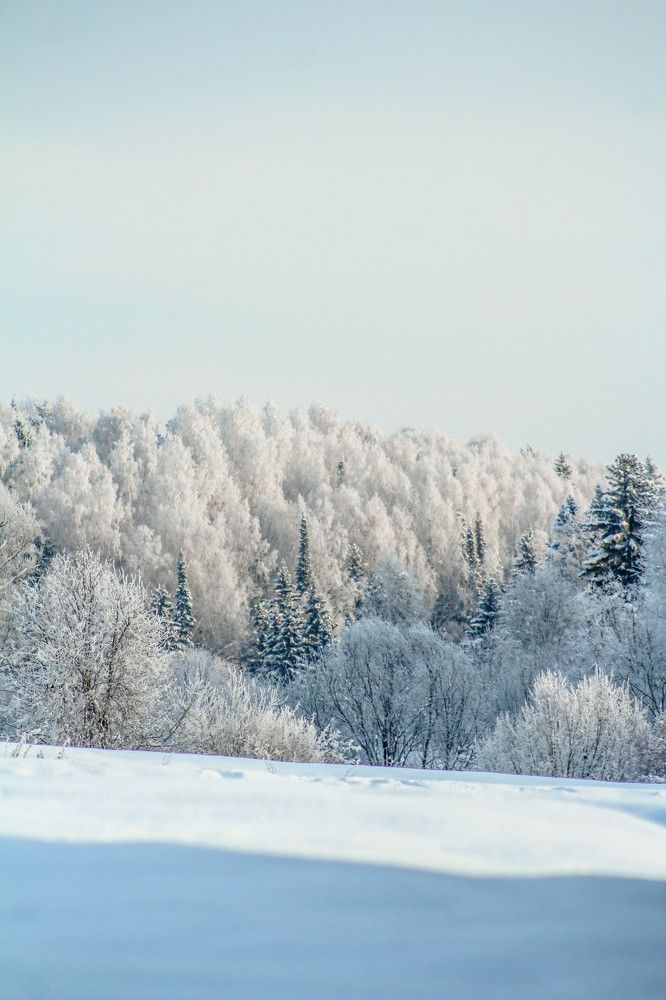 Photograph by Elizaveta