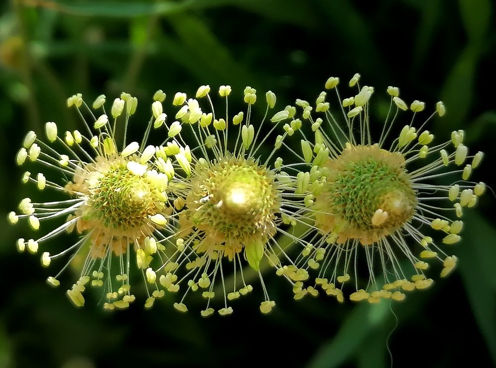 Photograph by Тамара Багровская