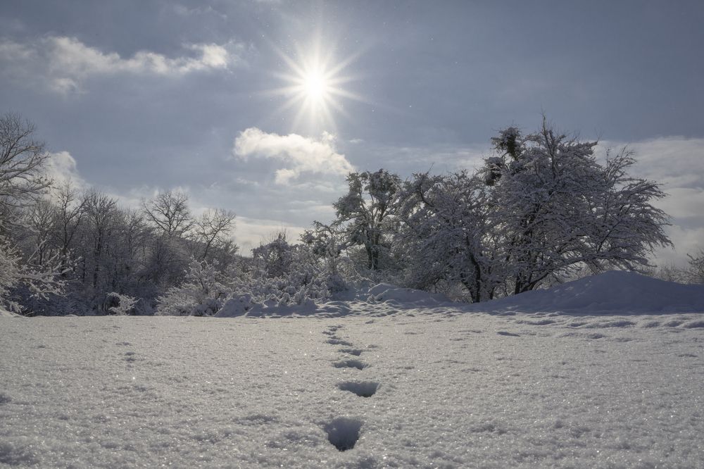 Зимнее солнце