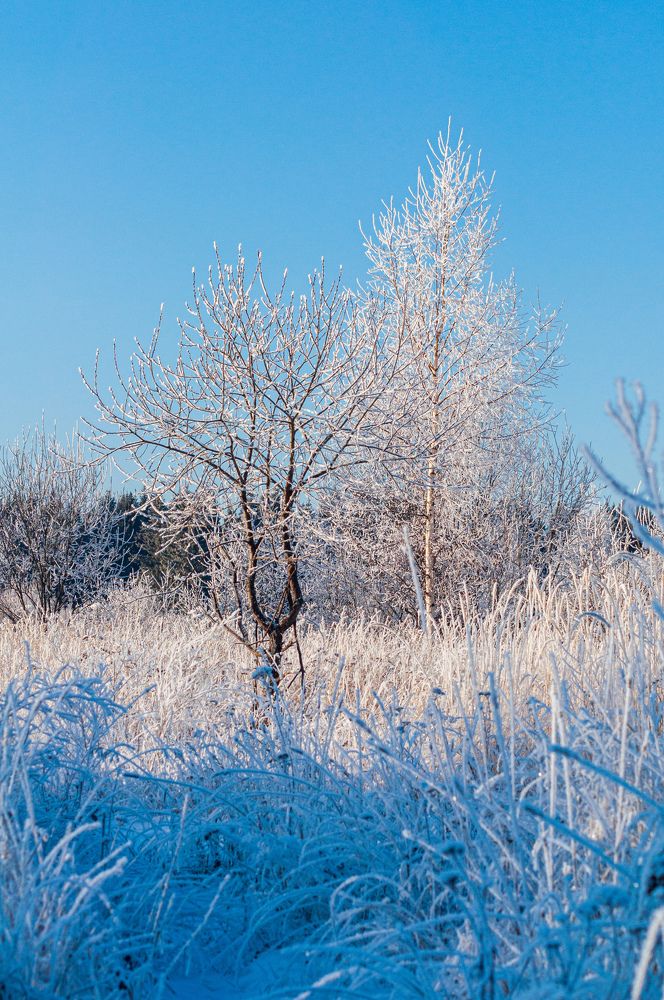 Photograph by Денис Кичев