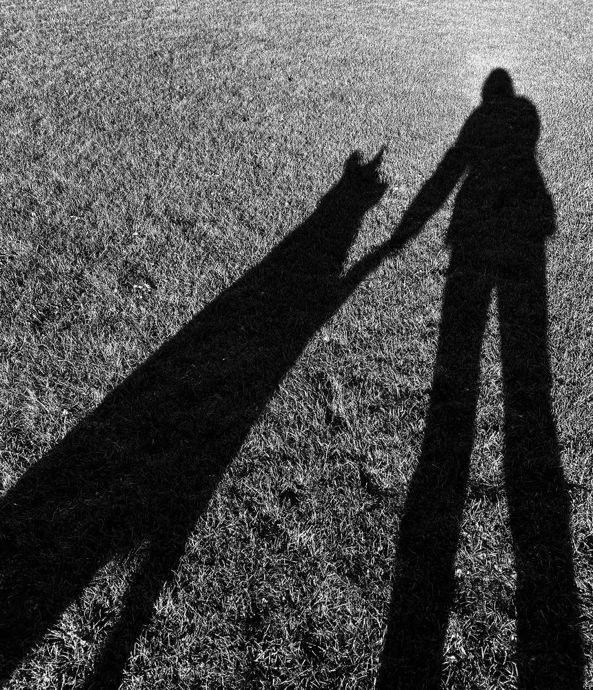 Photograph by Аудрюс Балчетис