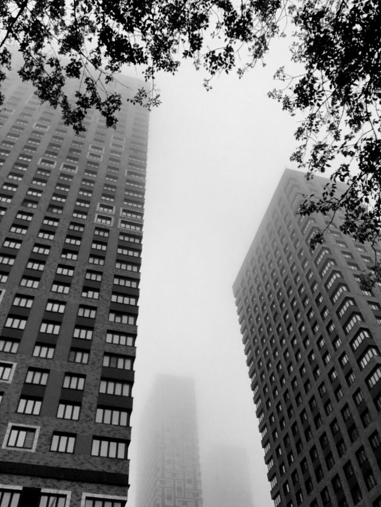 Photograph by Михаил Некрасов