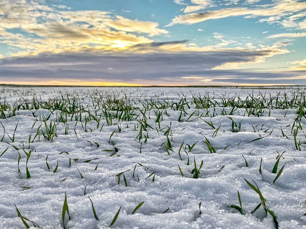 Photograph by Natasha Efanova