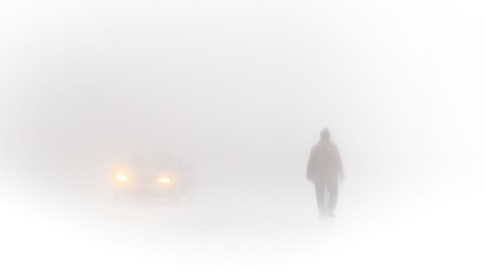 Photograph by seyed mostafa yousefi