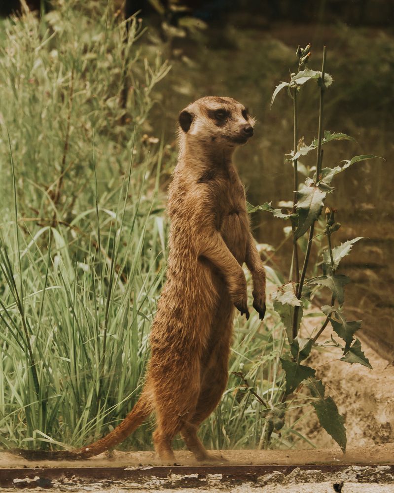 Photograph by Роман Рыбочкин