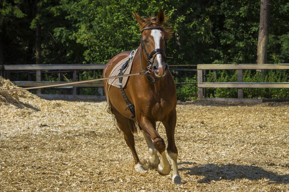 Photograph by Вячеслав Булатов