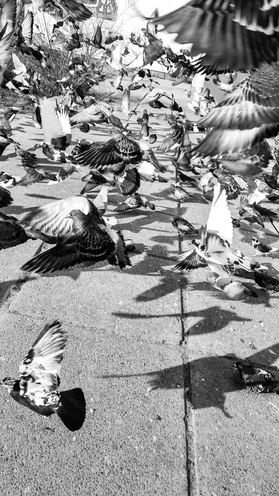 Фотография автора Ирина Якущенко