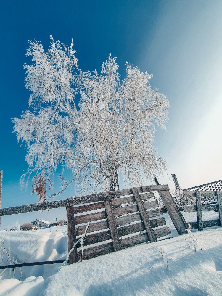 Photograph by Екатерина Верясова