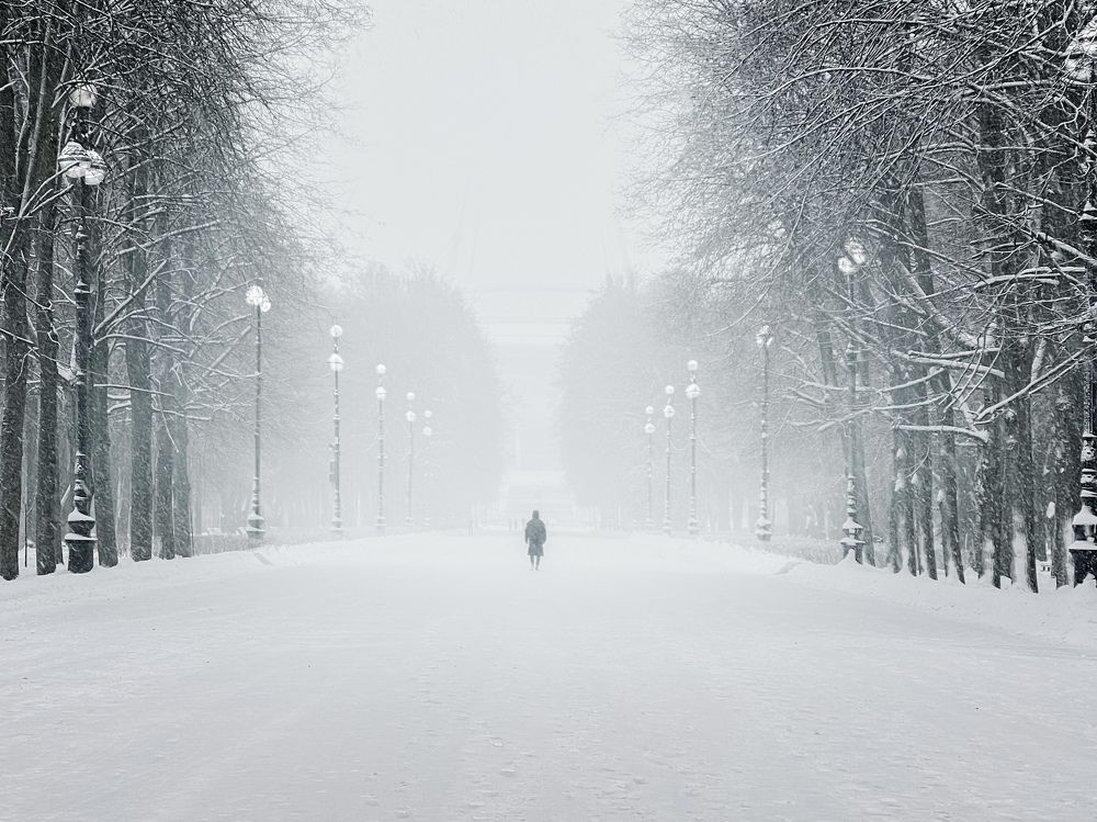 Photograph by Михаил Гордий