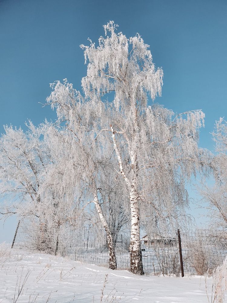 Photograph by Екатерина Верясова