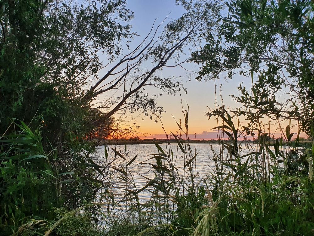 Photograph by Екатерина Верясова