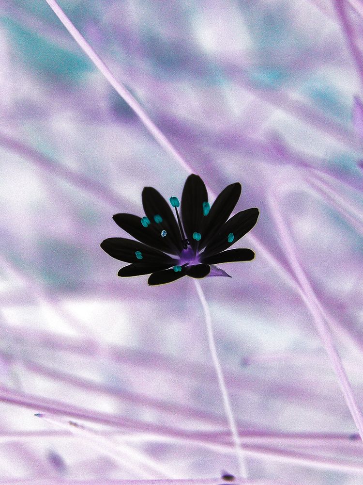 Photograph by Татьяна Носкович