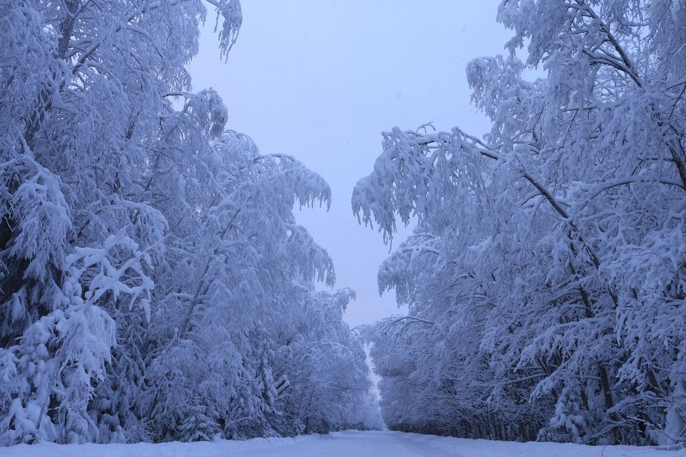 Photograph by Anna Grin