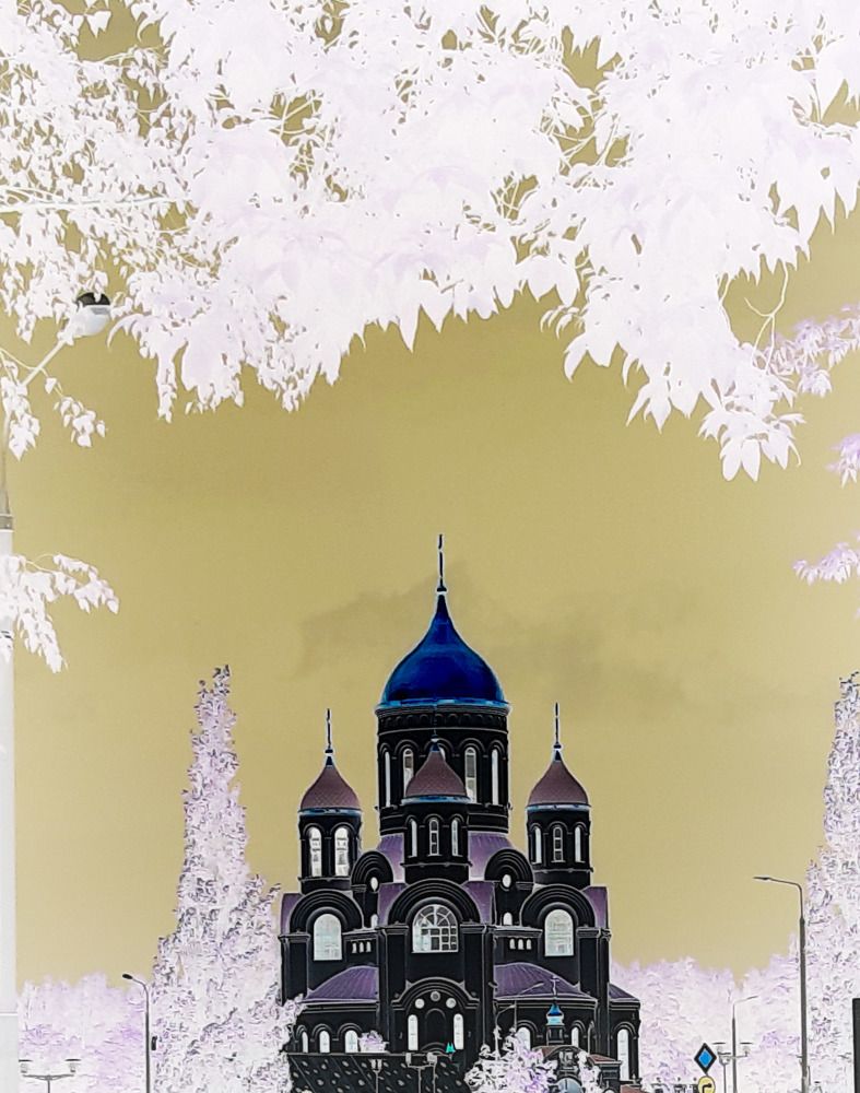 Photograph by Мария Архипова