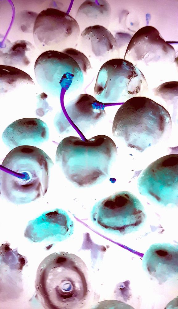 Photograph by Мария Архипова