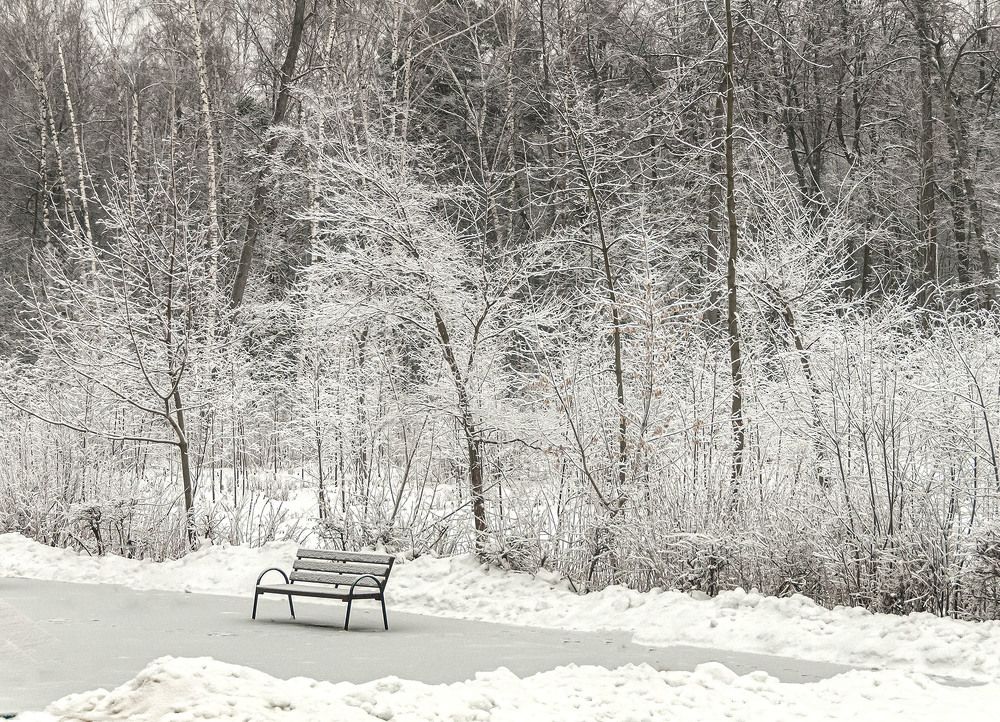 Photograph by Vladimir  Komarov
