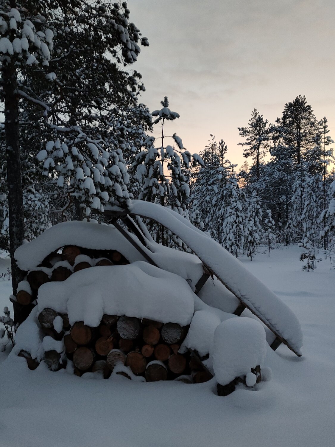 Photo #8495993