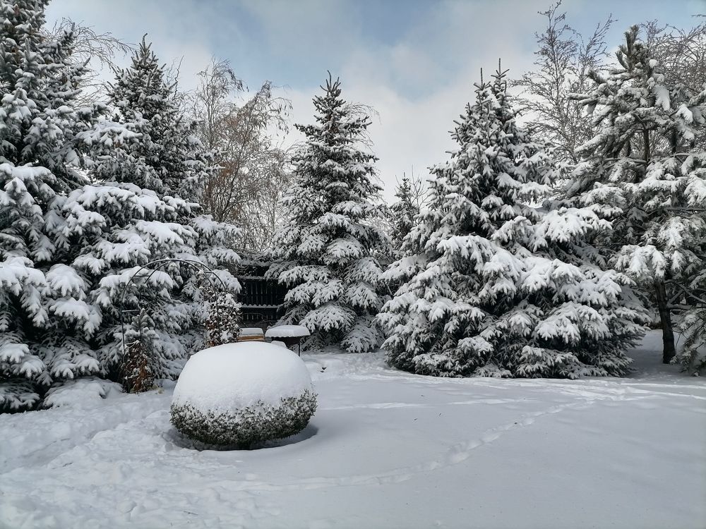 Photograph by Тамара Багровская