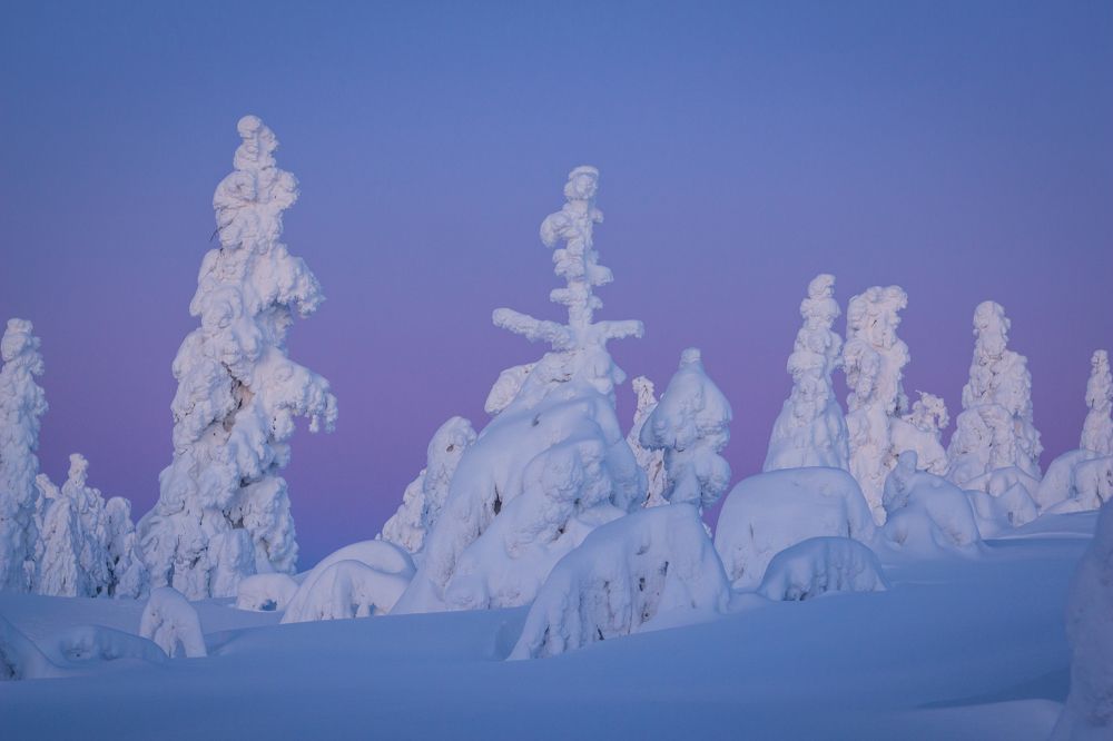 Photograph by Артём Ковалёв